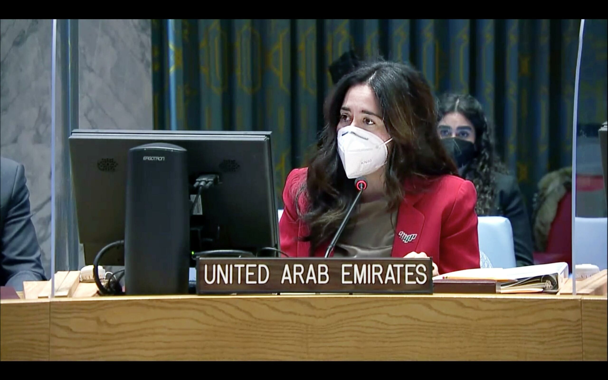 UAE Statement at UN Security Council Open Debate on WPS - Protecting ...
