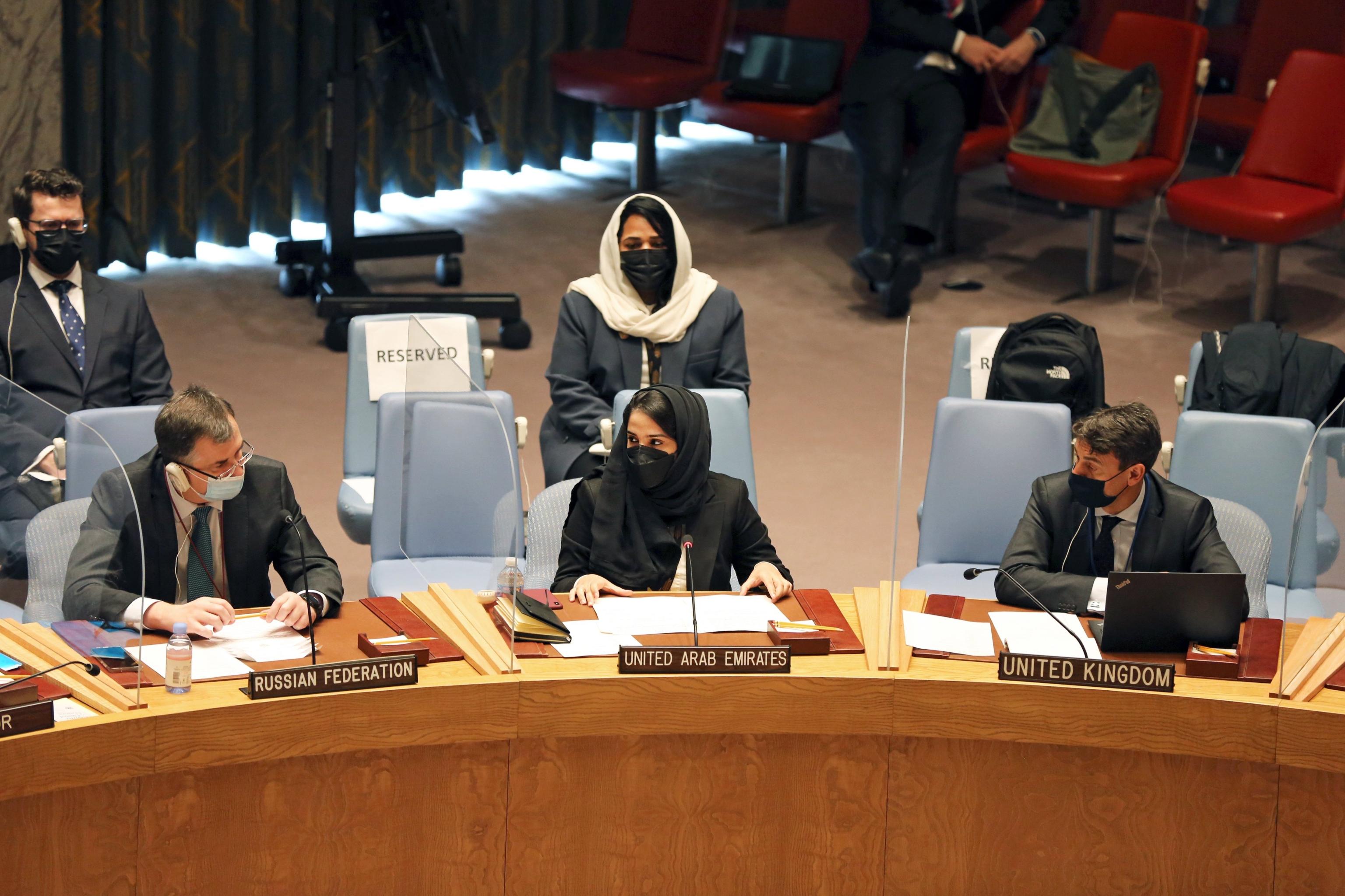 UAE Statement at the UN Security Council on the International Criminal ...