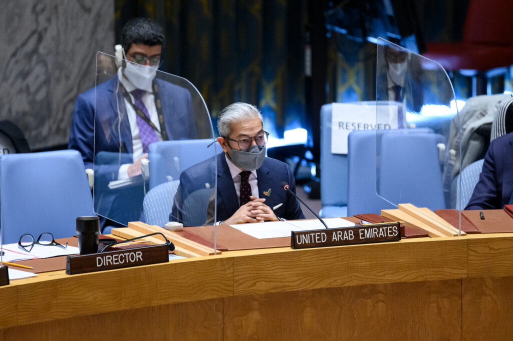 UAE Statement at the UN Security Council on Threats to International ...