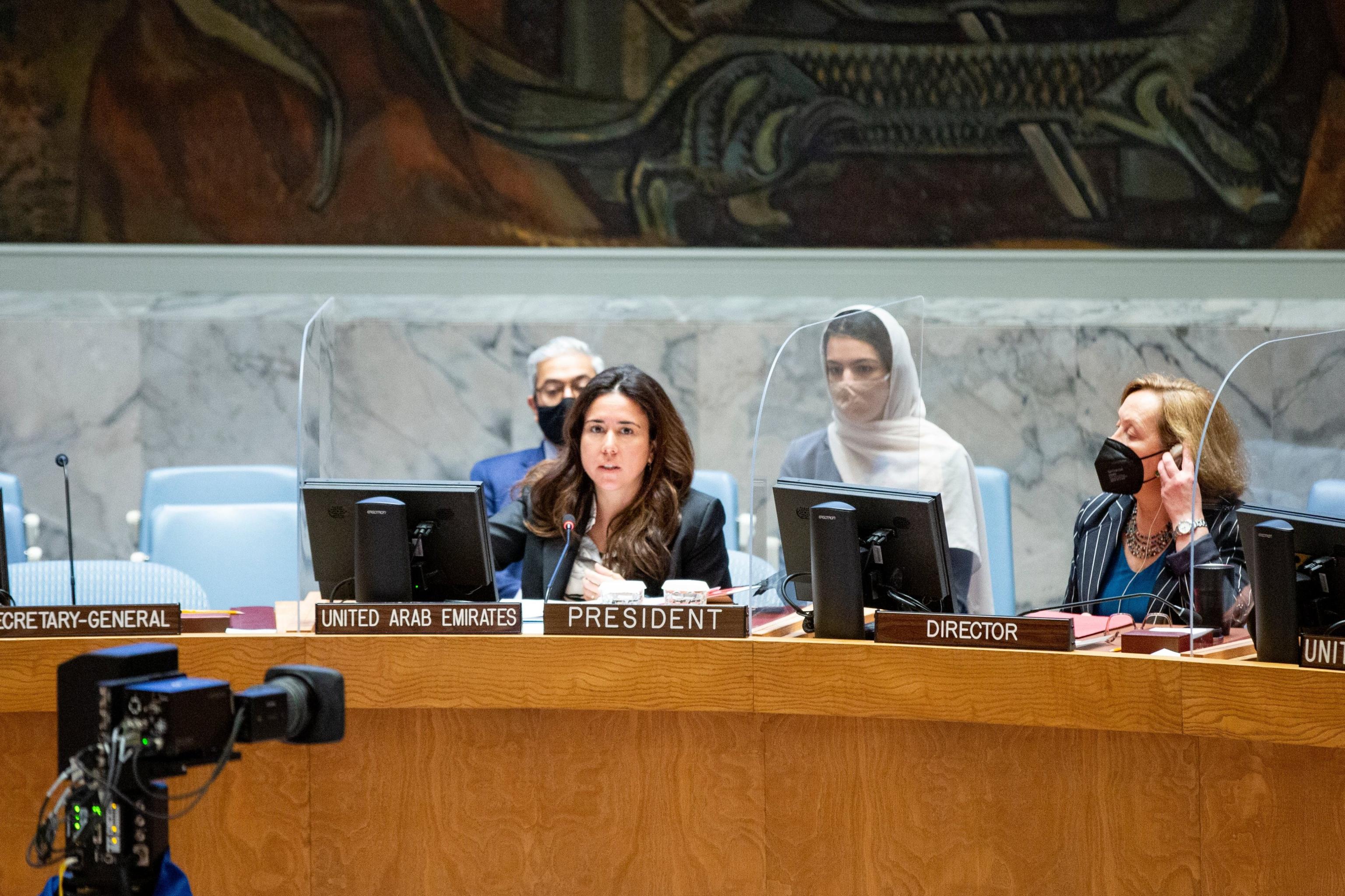 UAE Statement at the UN Security Council Meeting on the Situation in ...