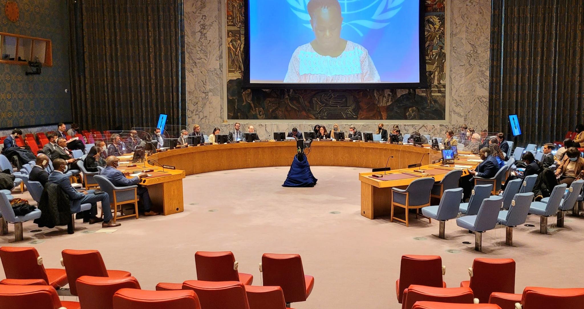 UAE Statement at the UN Security Council on MONUSCO - Permanent Mission ...