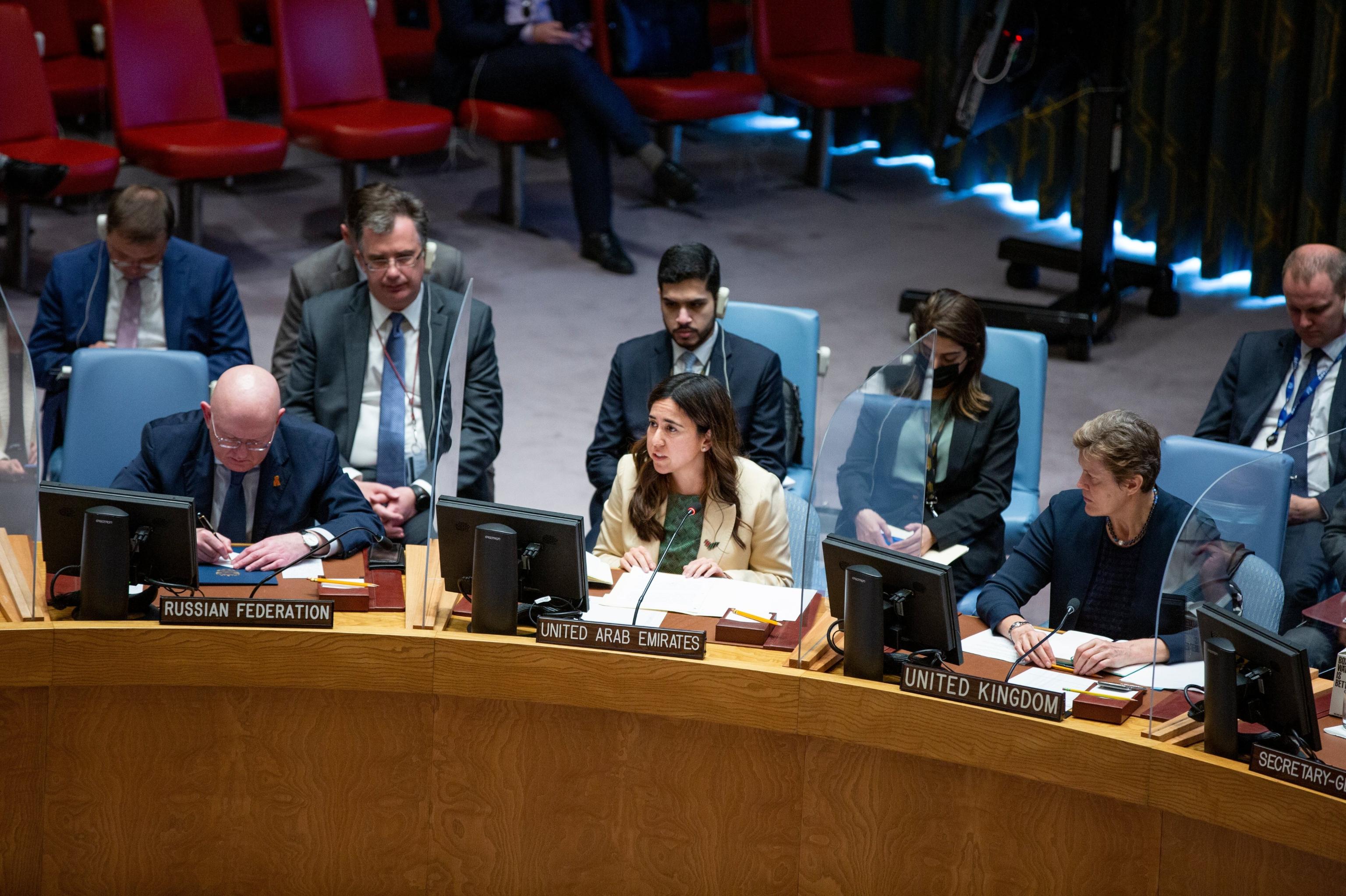 UAE Statement at the UN Security Council Meeting on Maintenance of ...
