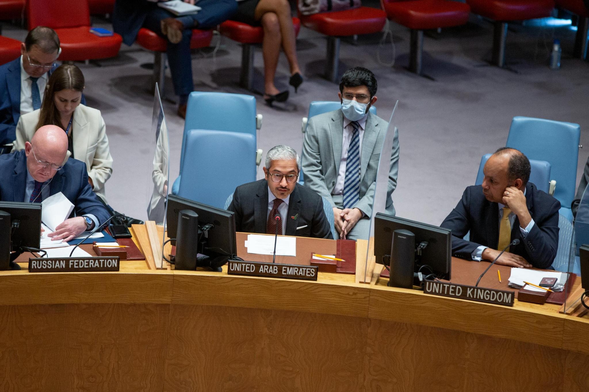 UAE Statement at the UN Security Council Meeting on the Maintenance of ...