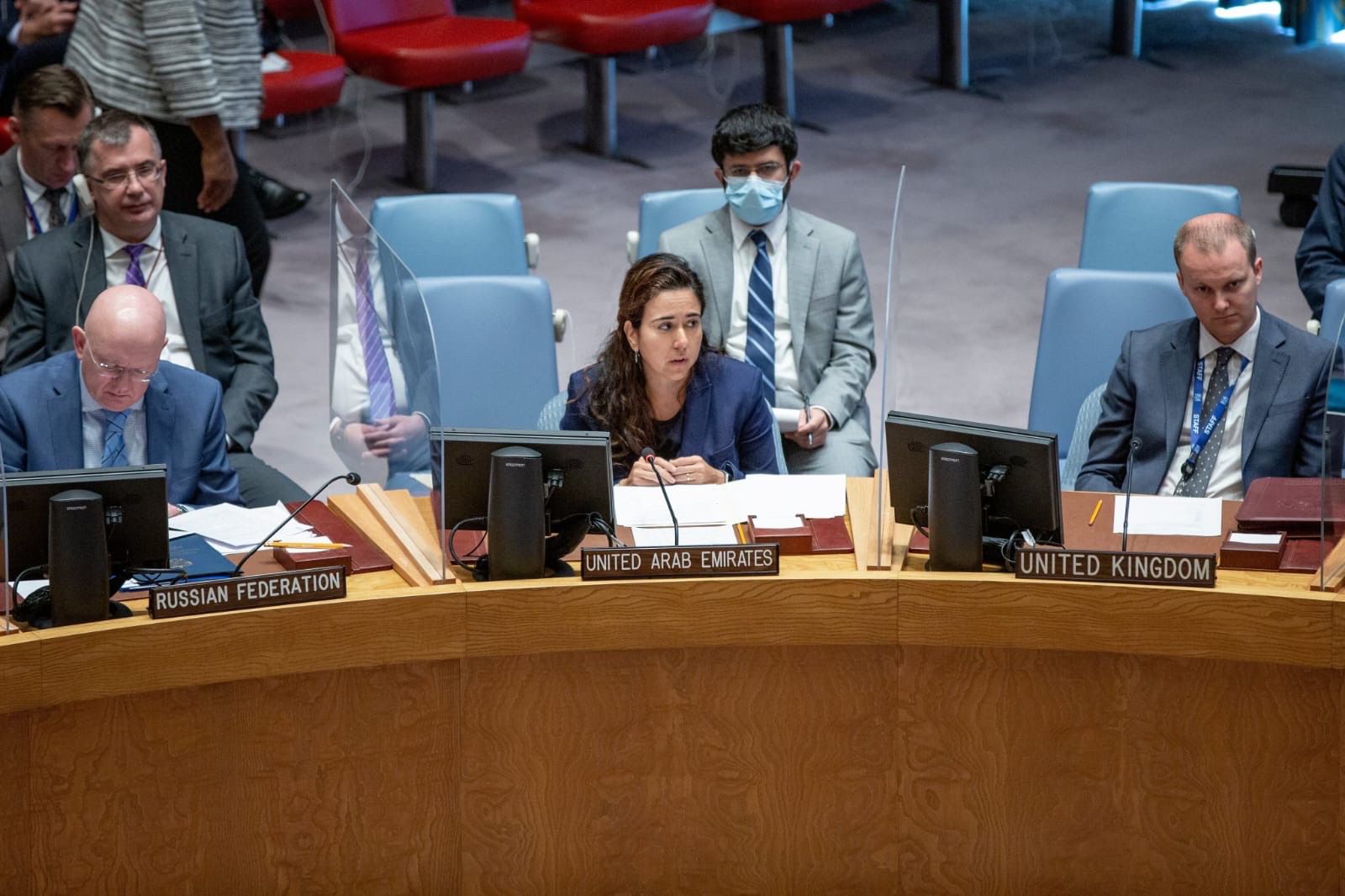 UAE Statement at the UN Security Council Meeting on the Maintenance of ...
