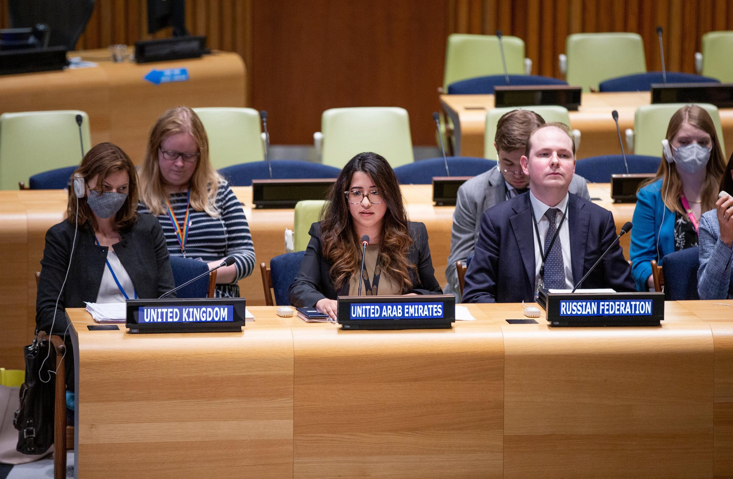 UAE Statement at the UN Security Council Arria-formula Meeting on ...