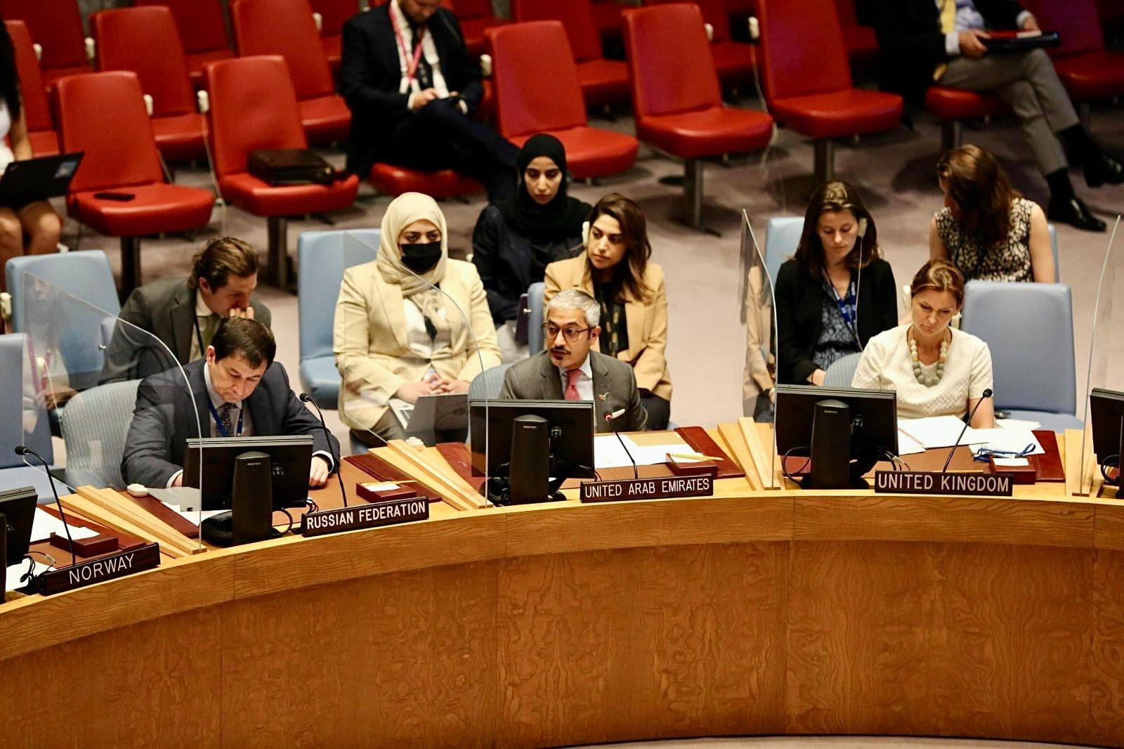 UAE Statement at the UN Security Council Meeting on The situation in ...