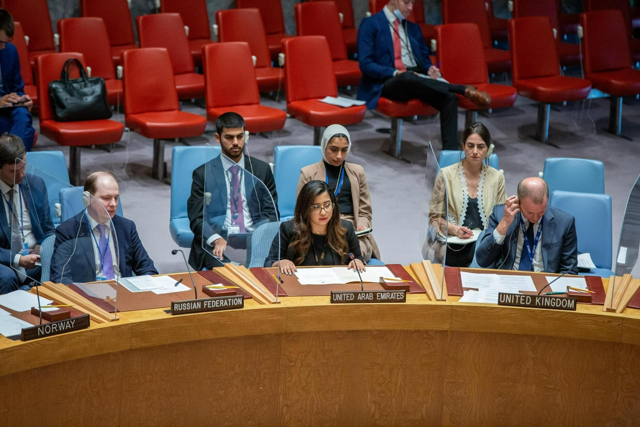 UAE Statement at the UN Security Council Meeting on Chemical Weapons in ...