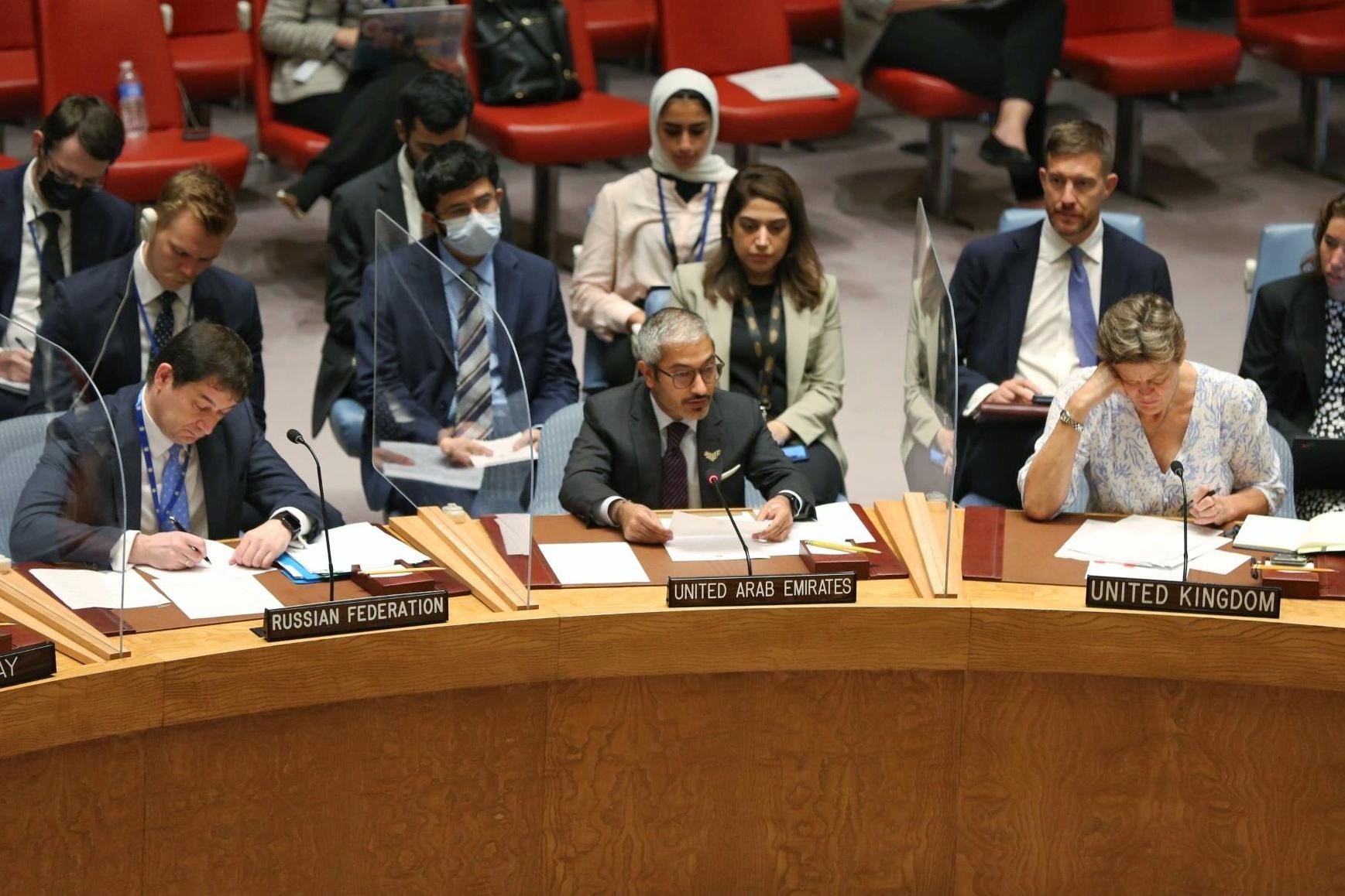 UAE Statement at the UN Security Council Meeting on Maintenance of ...