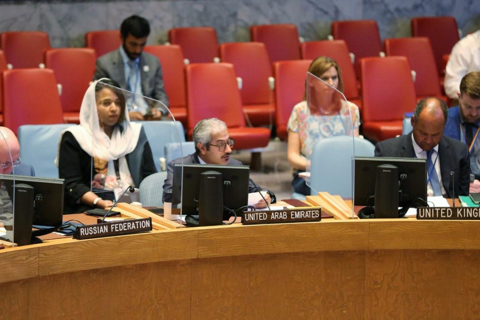 UAE Statement at the UN Security Council Open Debate Peace and Security ...