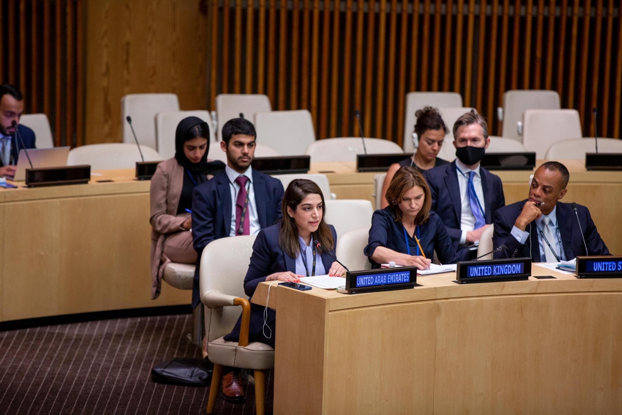UAE Statement at the UN Security Council Arria-Formula Meeting on ...
