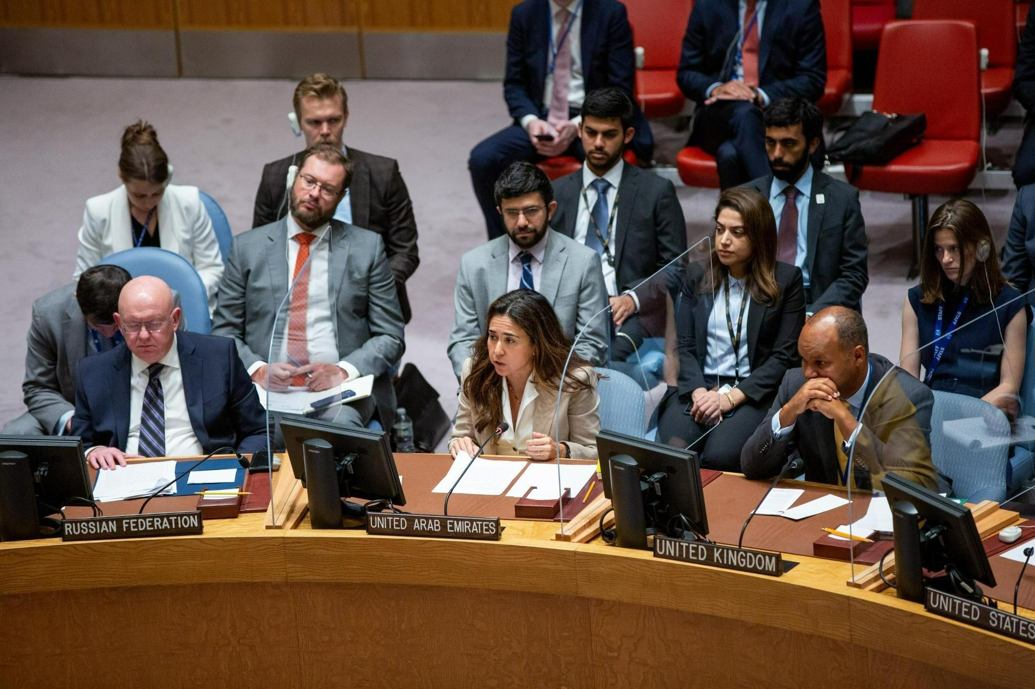 UAE Statement at the UN Security Council Briefing on Threats to ...