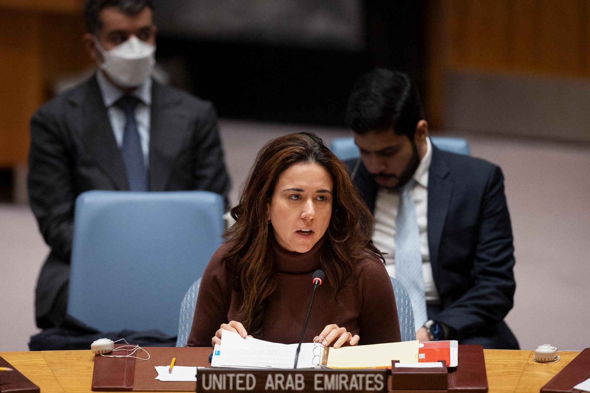 UAE Statement at the UN Security Council Meeting on Non-proliferation ...