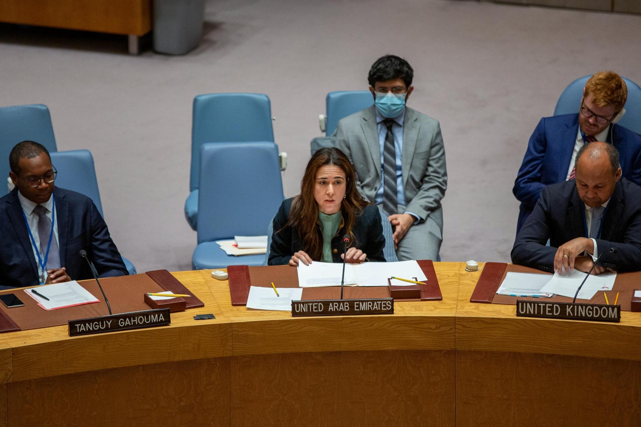 UAE Statement at the UN Security Council Meeting on Climate and ...