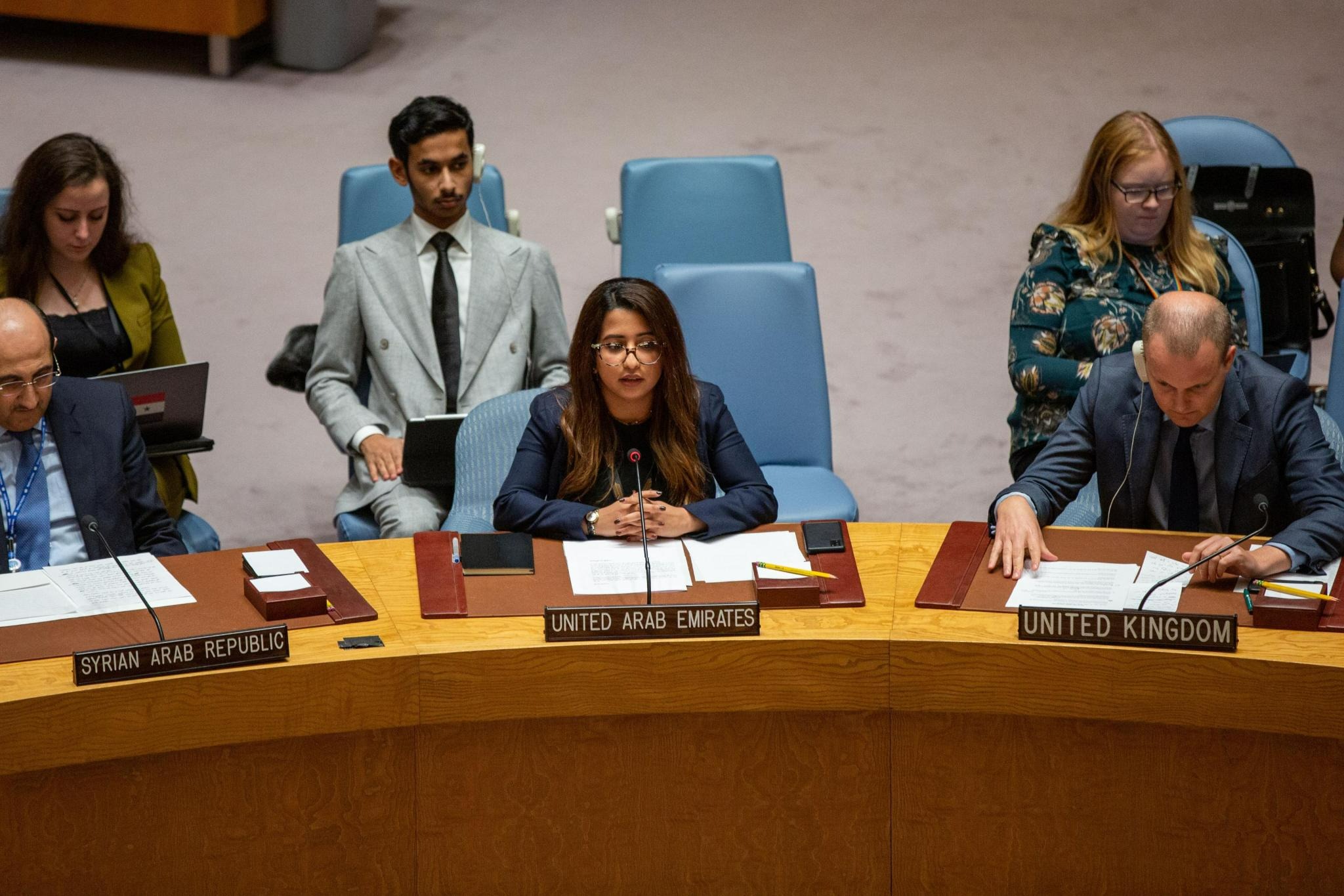 UAE Statement at the UN Security Council Meeting on Chemical Weapons in ...