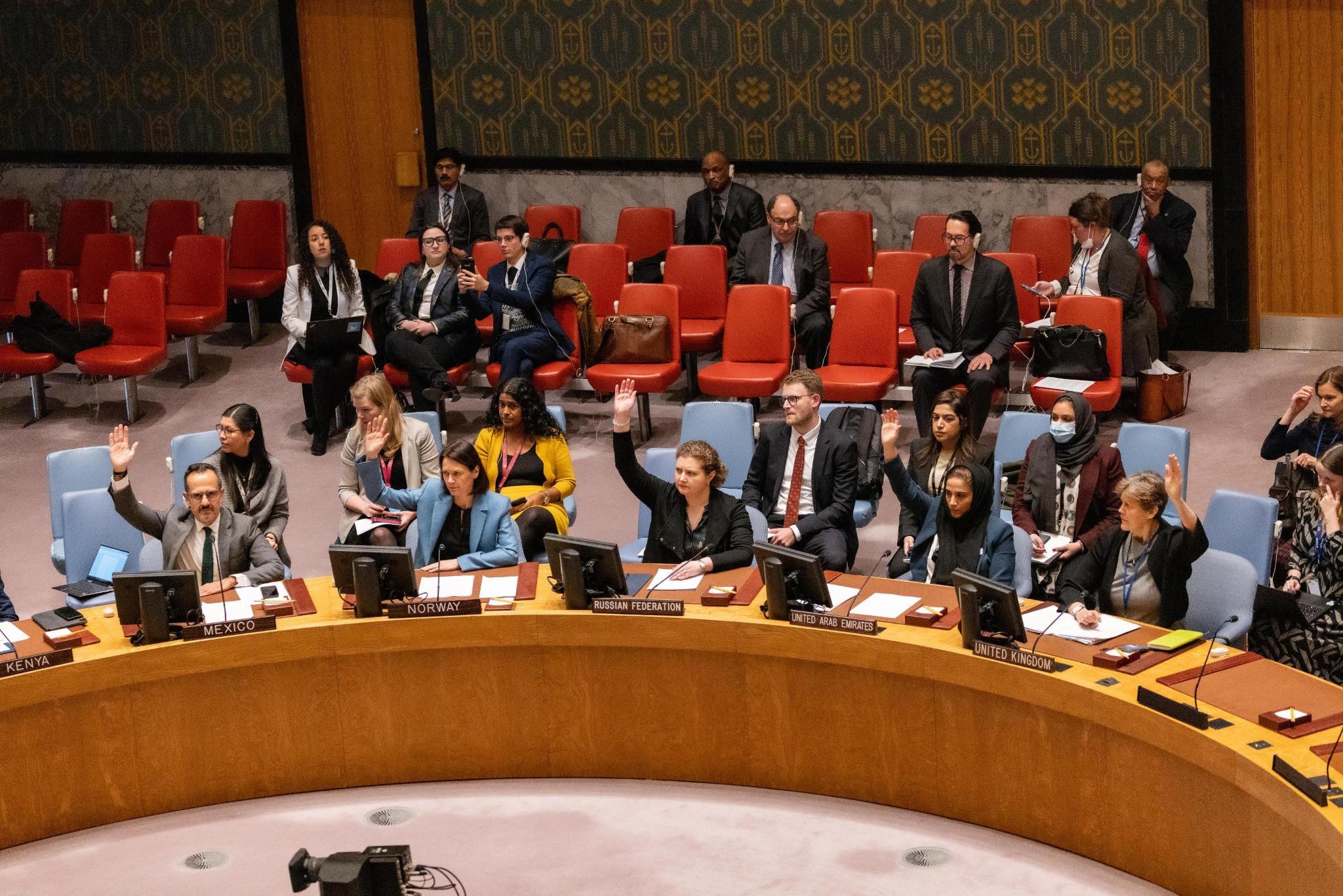 UAE Statement at the UN Security Council Meeting on adopting the ...