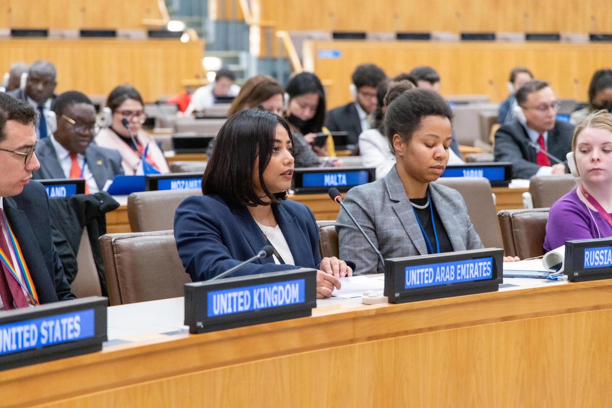 UAE Statement at the UN Security Council Arria-Formula Meeting on ...