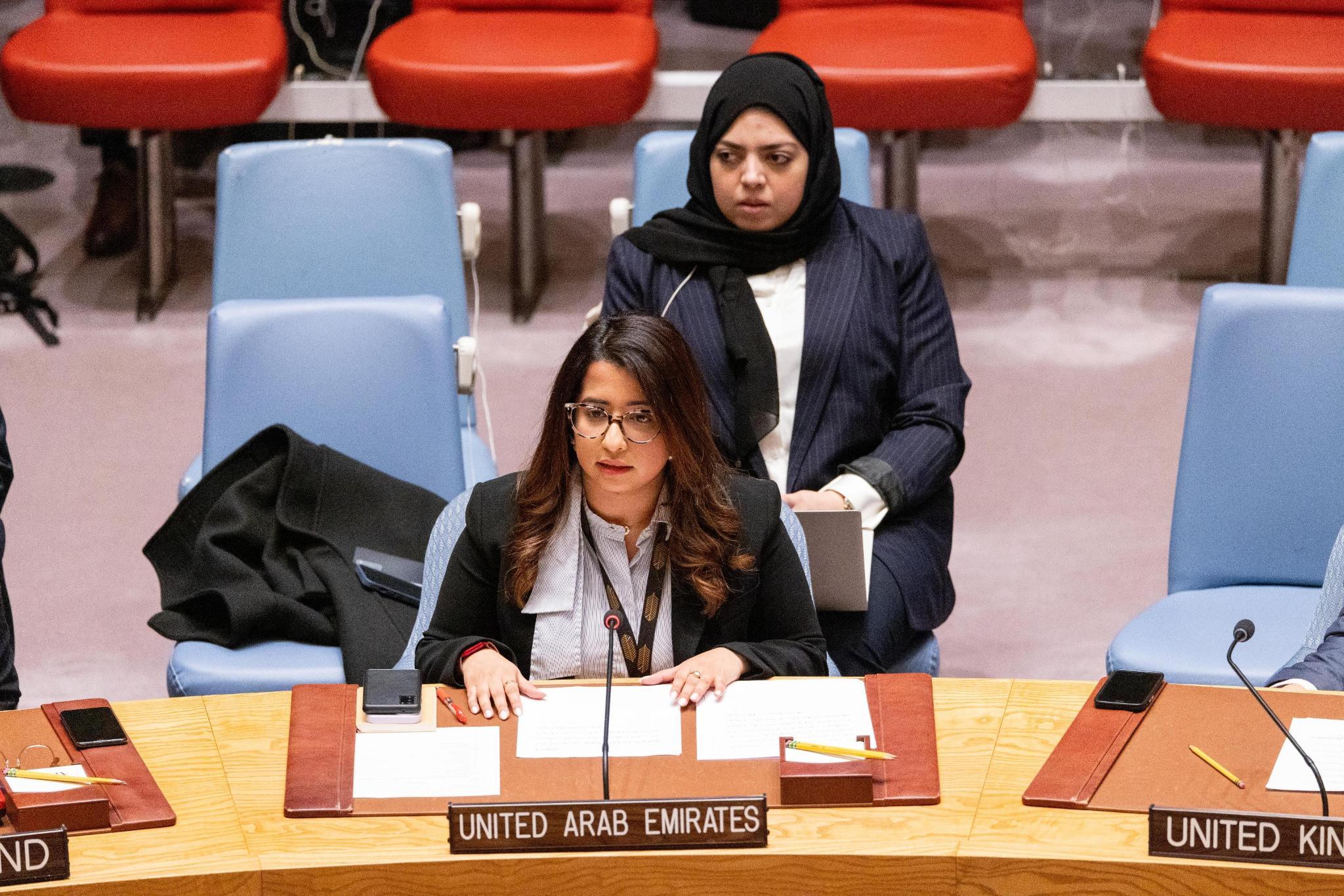 UAE Statement at the UN Security Council Meeting on Chemical Weapons in ...