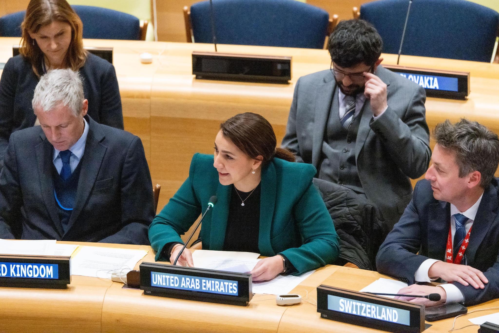UAE Statement at the Security Council Arria Formula Meeting on ...