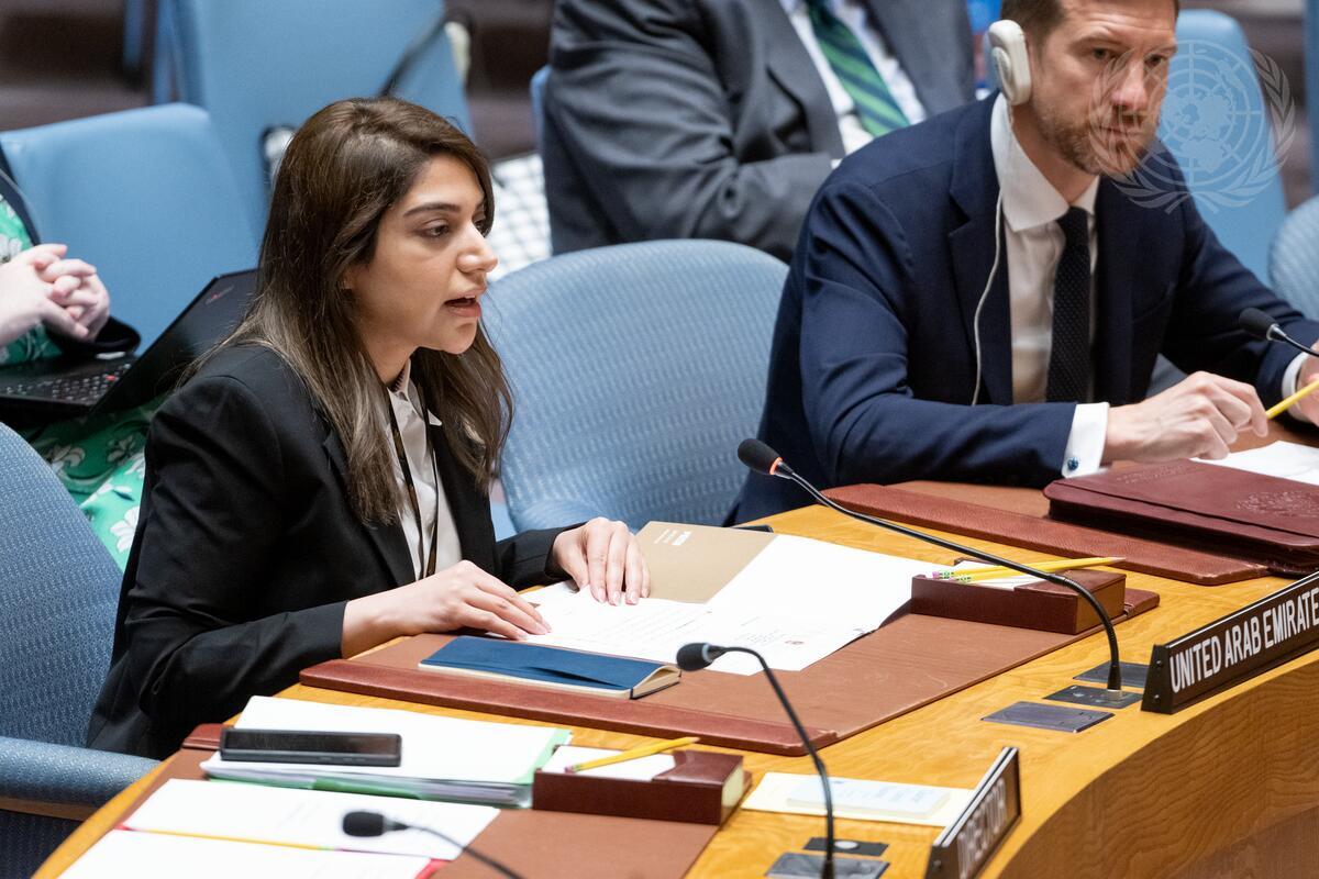 UAE Statement at the UN Security Council Meeting on Chemical Weapons in ...