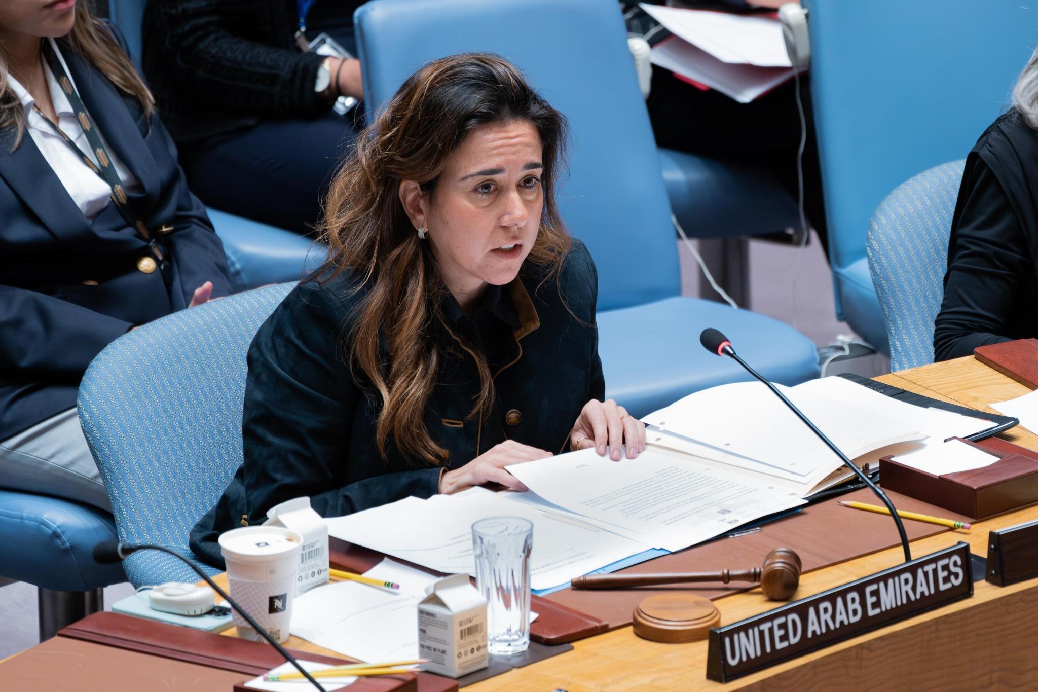 UAE Statement at the UN Security Council Meeting on MINUSMA - Permanent ...