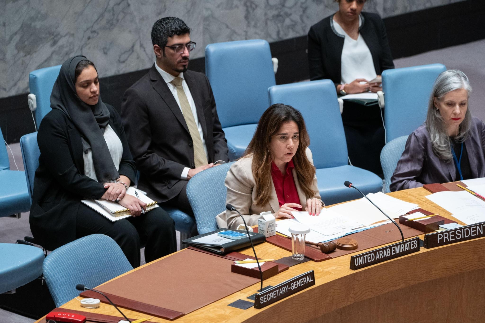 UAE Statement at the UN Security Council Meeting on MONUSCO - Permanent ...