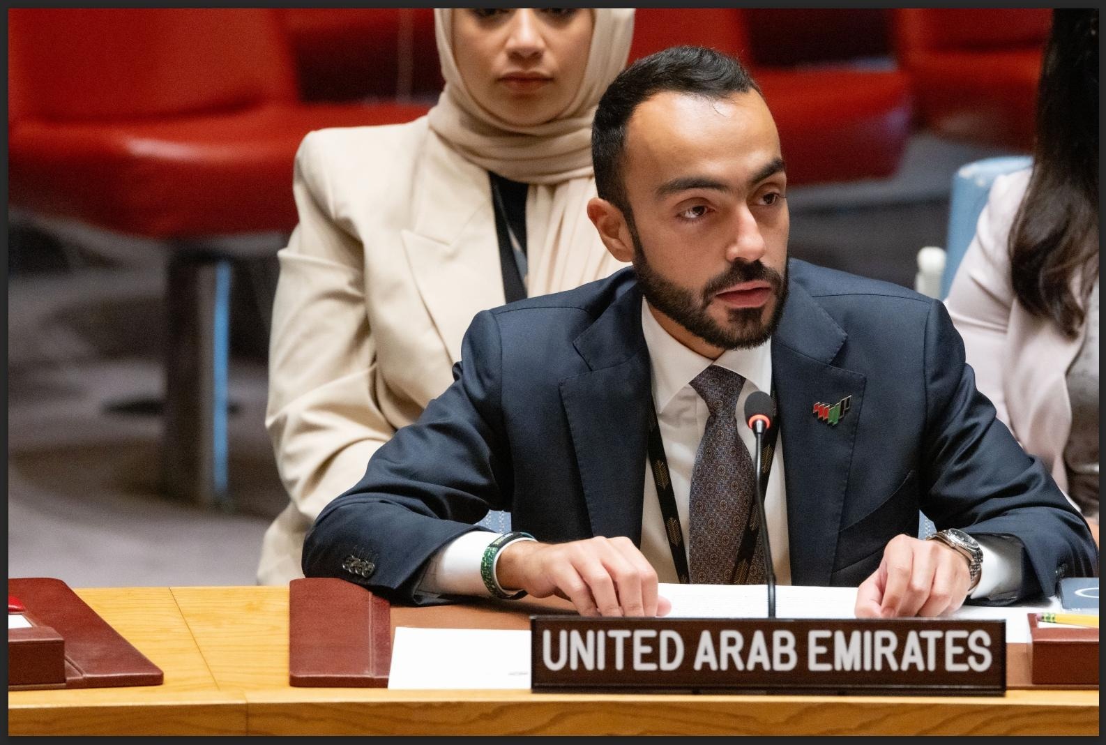 UAE Statement at the UN Security Council Meeting on Chemical Weapons in ...