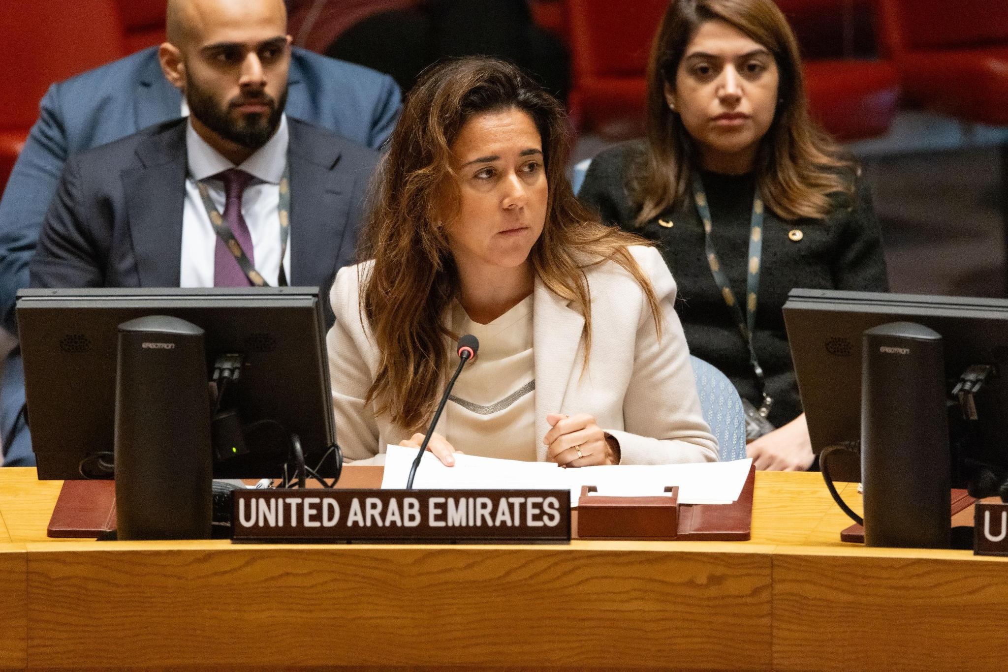 UAE Statement at the UN Security Council Meeting on Advancing Public ...