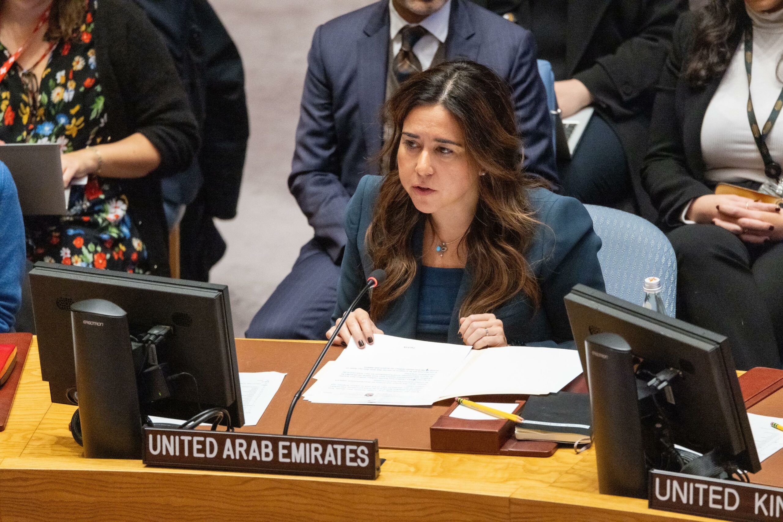 UAE Statement at the UN Security Council Meeting on the Situation in ...