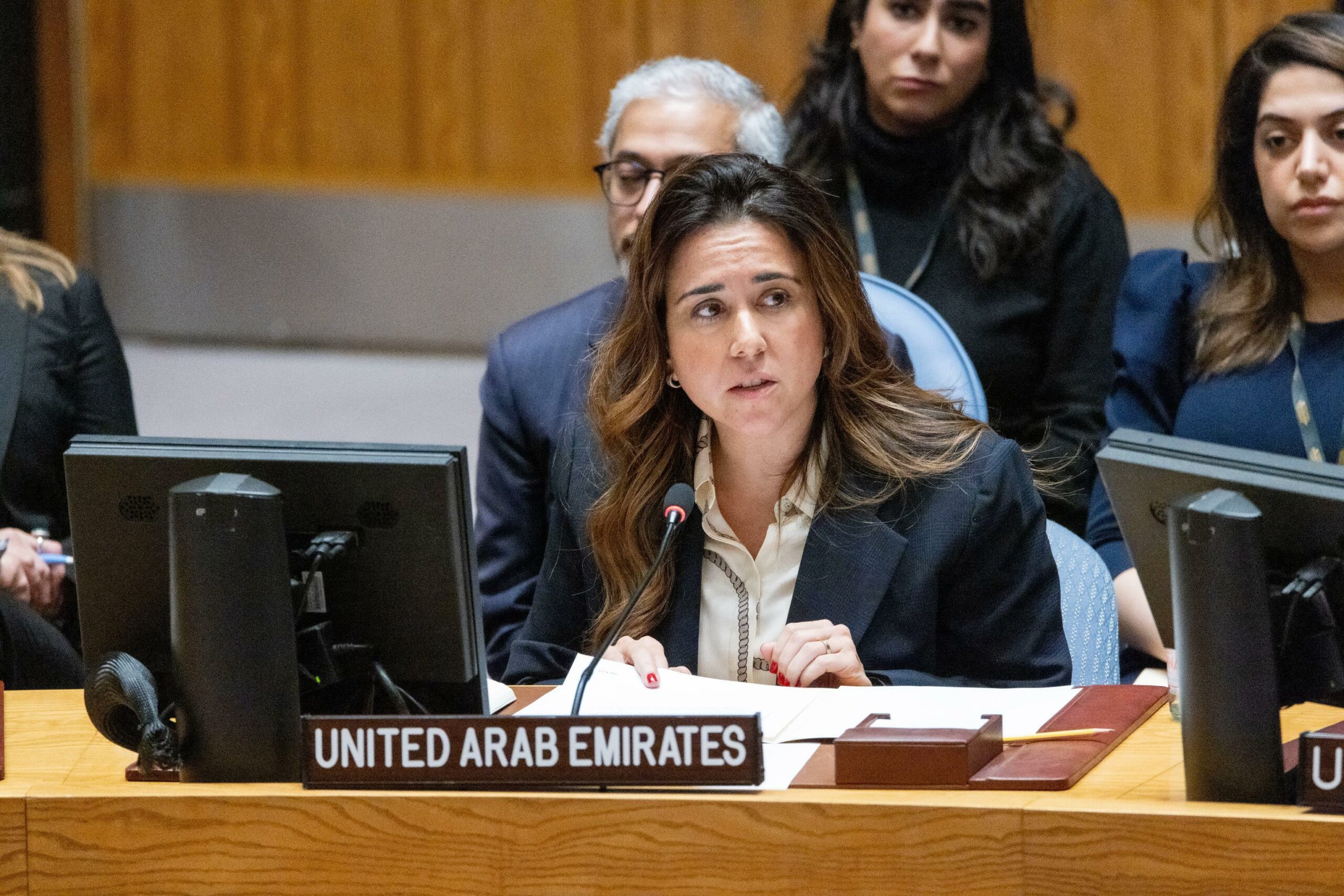 UAE Statement at the UN Security Council Meeting on the Situation in ...