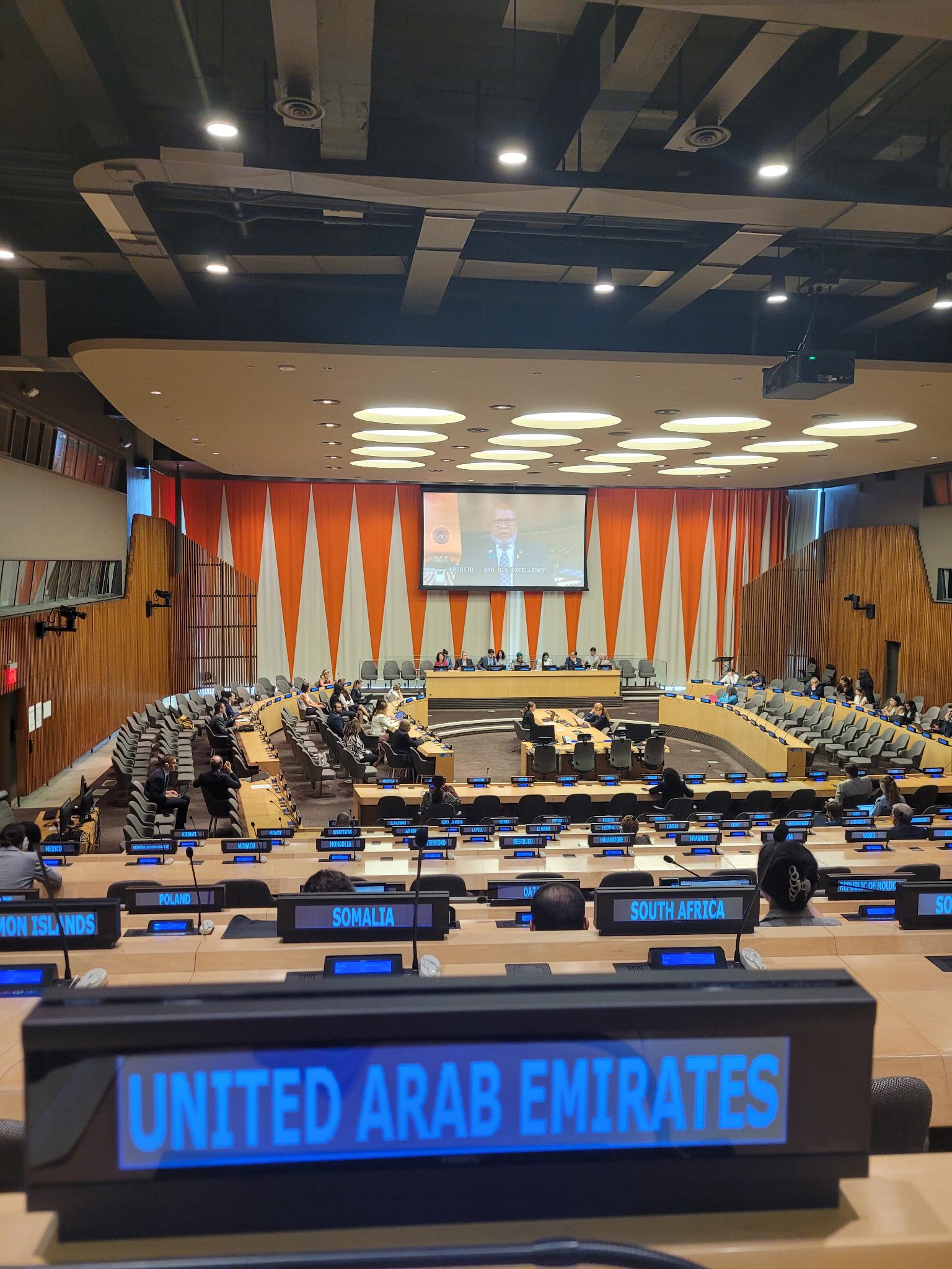 UAE Intervention at High Level event on Investing in the Power of Youth ...